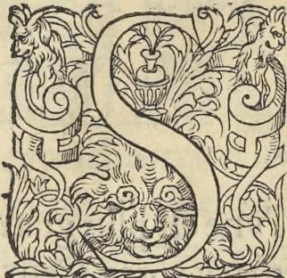 An illustration from L'histoire de la natvre des oyseavx : avec levrs descriptions, & naïfs portraicts retirez du natvrel, escrite en sept livres, 1555, leaf 200