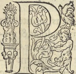 An illustration from L'histoire de la natvre des oyseavx : avec levrs descriptions, & naïfs portraicts retirez du natvrel, escrite en sept livres, 1555, leaf 202