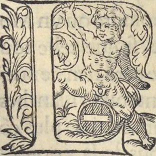 An illustration from L'histoire de la natvre des oyseavx : avec levrs descriptions, & naïfs portraicts retirez du natvrel, escrite en sept livres, 1555, leaf 203