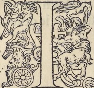 An illustration from L'histoire de la natvre des oyseavx : avec levrs descriptions, & naïfs portraicts retirez du natvrel, escrite en sept livres, 1555, leaf 205