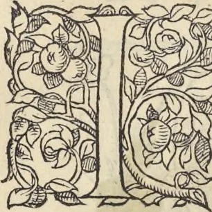 An illustration from L'histoire de la natvre des oyseavx : avec levrs descriptions, & naïfs portraicts retirez du natvrel, escrite en sept livres, 1555, leaf 206