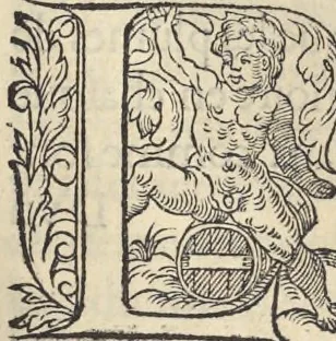 An illustration from L'histoire de la natvre des oyseavx : avec levrs descriptions, & naïfs portraicts retirez du natvrel, escrite en sept livres, 1555, leaf 206