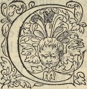 An illustration from L'histoire de la natvre des oyseavx : avec levrs descriptions, & naïfs portraicts retirez du natvrel, escrite en sept livres, 1555, leaf 208