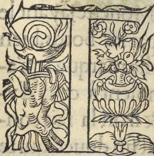 An illustration from L'histoire de la natvre des oyseavx : avec levrs descriptions, & naïfs portraicts retirez du natvrel, escrite en sept livres, 1555, leaf 210