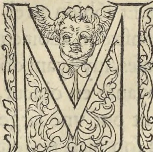 An illustration from L'histoire de la natvre des oyseavx : avec levrs descriptions, & naïfs portraicts retirez du natvrel, escrite en sept livres, 1555, leaf 212