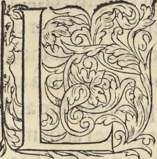 An illustration from L'histoire de la natvre des oyseavx : avec levrs descriptions, & naïfs portraicts retirez du natvrel, escrite en sept livres, 1555, leaf 214