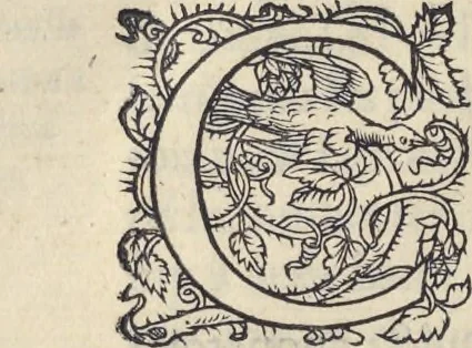 An illustration from L'histoire de la natvre des oyseavx : avec levrs descriptions, & naïfs portraicts retirez du natvrel, escrite en sept livres, 1555, leaf 215