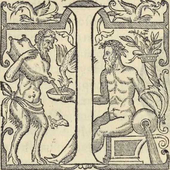 An illustration from L'histoire de la natvre des oyseavx : avec levrs descriptions, & naïfs portraicts retirez du natvrel, escrite en sept livres, 1555, leaf 218