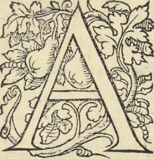 An illustration from L'histoire de la natvre des oyseavx : avec levrs descriptions, & naïfs portraicts retirez du natvrel, escrite en sept livres, 1555, leaf 220