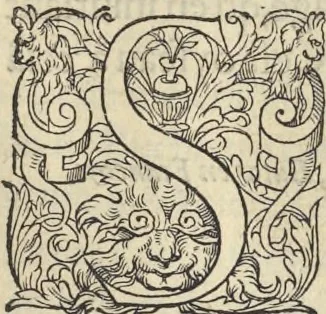 An illustration from L'histoire de la natvre des oyseavx : avec levrs descriptions, & naïfs portraicts retirez du natvrel, escrite en sept livres, 1555, leaf 222