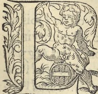 An illustration from L'histoire de la natvre des oyseavx : avec levrs descriptions, & naïfs portraicts retirez du natvrel, escrite en sept livres, 1555, leaf 230