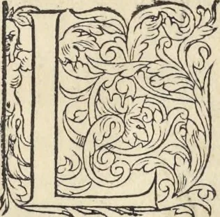 An illustration from L'histoire de la natvre des oyseavx : avec levrs descriptions, & naïfs portraicts retirez du natvrel, escrite en sept livres, 1555, leaf 232
