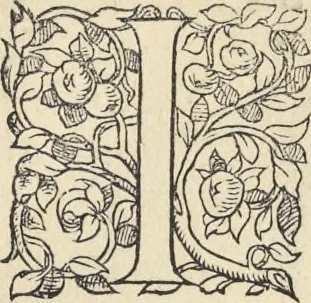 An illustration from L'histoire de la natvre des oyseavx : avec levrs descriptions, & naïfs portraicts retirez du natvrel, escrite en sept livres, 1555, leaf 234