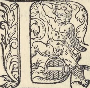 An illustration from L'histoire de la natvre des oyseavx : avec levrs descriptions, & naïfs portraicts retirez du natvrel, escrite en sept livres, 1555, leaf 235