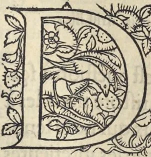 An illustration from L'histoire de la natvre des oyseavx : avec levrs descriptions, & naïfs portraicts retirez du natvrel, escrite en sept livres, 1555, leaf 236