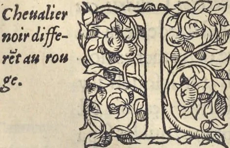 An illustration from L'histoire de la natvre des oyseavx : avec levrs descriptions, & naïfs portraicts retirez du natvrel, escrite en sept livres, 1555, leaf 239
