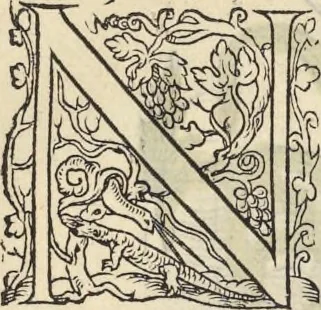 An illustration from L'histoire de la natvre des oyseavx : avec levrs descriptions, & naïfs portraicts retirez du natvrel, escrite en sept livres, 1555, leaf 242