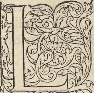 An illustration from L'histoire de la natvre des oyseavx : avec levrs descriptions, & naïfs portraicts retirez du natvrel, escrite en sept livres, 1555, leaf 245