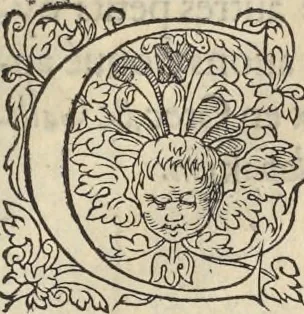 An illustration from L'histoire de la natvre des oyseavx : avec levrs descriptions, & naïfs portraicts retirez du natvrel, escrite en sept livres, 1555, leaf 246