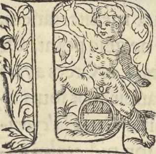 An illustration from L'histoire de la natvre des oyseavx : avec levrs descriptions, & naïfs portraicts retirez du natvrel, escrite en sept livres, 1555, leaf 248