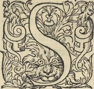 An illustration from L'histoire de la natvre des oyseavx : avec levrs descriptions, & naïfs portraicts retirez du natvrel, escrite en sept livres, 1555, leaf 252