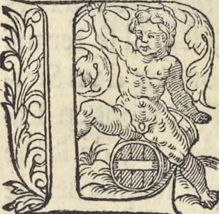 An illustration from L'histoire de la natvre des oyseavx : avec levrs descriptions, & naïfs portraicts retirez du natvrel, escrite en sept livres, 1555, leaf 255