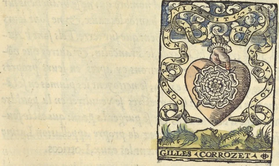 An illustration from L'histoire de la natvre des oyseavx : avec levrs descriptions, & naïfs portraicts retirez du natvrel, escrite en sept livres, 1555, leaf 260