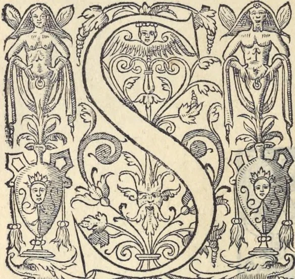 An illustration from L'histoire de la natvre des oyseavx : avec levrs descriptions, & naïfs portraicts retirez du natvrel, escrite en sept livres, 1555, leaf 261