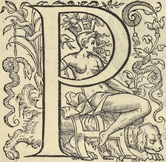 An illustration from L'histoire de la natvre des oyseavx : avec levrs descriptions, & naïfs portraicts retirez du natvrel, escrite en sept livres, 1555, leaf 262