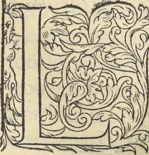 An illustration from L'histoire de la natvre des oyseavx : avec levrs descriptions, & naïfs portraicts retirez du natvrel, escrite en sept livres, 1555, leaf 264