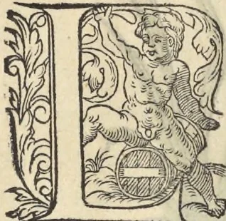 An illustration from L'histoire de la natvre des oyseavx : avec levrs descriptions, & naïfs portraicts retirez du natvrel, escrite en sept livres, 1555, leaf 268