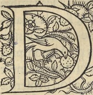 An illustration from L'histoire de la natvre des oyseavx : avec levrs descriptions, & naïfs portraicts retirez du natvrel, escrite en sept livres, 1555, leaf 270