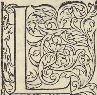 An illustration from L'histoire de la natvre des oyseavx : avec levrs descriptions, & naïfs portraicts retirez du natvrel, escrite en sept livres, 1555, leaf 273