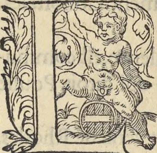 An illustration from L'histoire de la natvre des oyseavx : avec levrs descriptions, & naïfs portraicts retirez du natvrel, escrite en sept livres, 1555, leaf 276