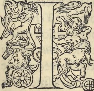 An illustration from L'histoire de la natvre des oyseavx : avec levrs descriptions, & naïfs portraicts retirez du natvrel, escrite en sept livres, 1555, leaf 280