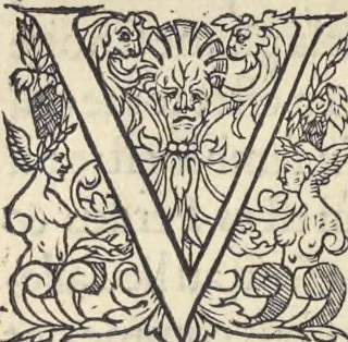 An illustration from L'histoire de la natvre des oyseavx : avec levrs descriptions, & naïfs portraicts retirez du natvrel, escrite en sept livres, 1555, leaf 283
