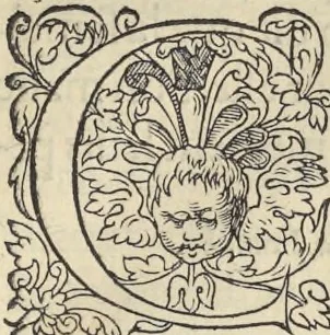 An illustration from L'histoire de la natvre des oyseavx : avec levrs descriptions, & naïfs portraicts retirez du natvrel, escrite en sept livres, 1555, leaf 286