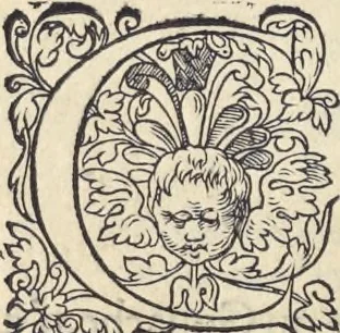An illustration from L'histoire de la natvre des oyseavx : avec levrs descriptions, & naïfs portraicts retirez du natvrel, escrite en sept livres, 1555, leaf 289