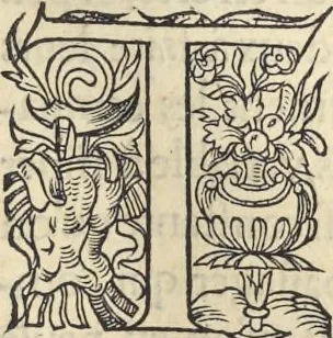 An illustration from L'histoire de la natvre des oyseavx : avec levrs descriptions, & naïfs portraicts retirez du natvrel, escrite en sept livres, 1555, leaf 290