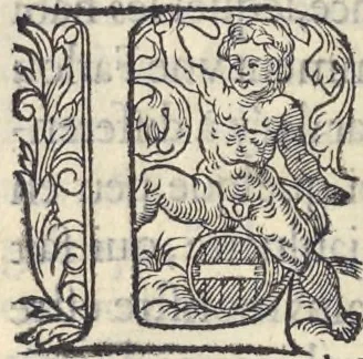An illustration from L'histoire de la natvre des oyseavx : avec levrs descriptions, & naïfs portraicts retirez du natvrel, escrite en sept livres, 1555, leaf 303