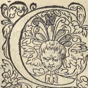 An illustration from L'histoire de la natvre des oyseavx : avec levrs descriptions, & naïfs portraicts retirez du natvrel, escrite en sept livres, 1555, leaf 315