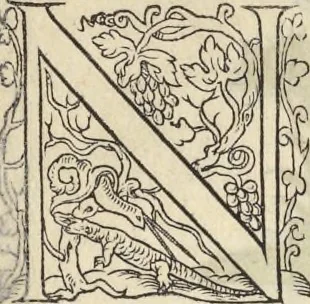 An illustration from L'histoire de la natvre des oyseavx : avec levrs descriptions, & naïfs portraicts retirez du natvrel, escrite en sept livres, 1555, leaf 318