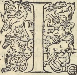 An illustration from L'histoire de la natvre des oyseavx : avec levrs descriptions, & naïfs portraicts retirez du natvrel, escrite en sept livres, 1555, leaf 319