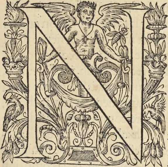 An illustration from L'histoire de la natvre des oyseavx : avec levrs descriptions, & naïfs portraicts retirez du natvrel, escrite en sept livres, 1555, leaf 32