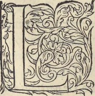 An illustration from L'histoire de la natvre des oyseavx : avec levrs descriptions, & naïfs portraicts retirez du natvrel, escrite en sept livres, 1555, leaf 331