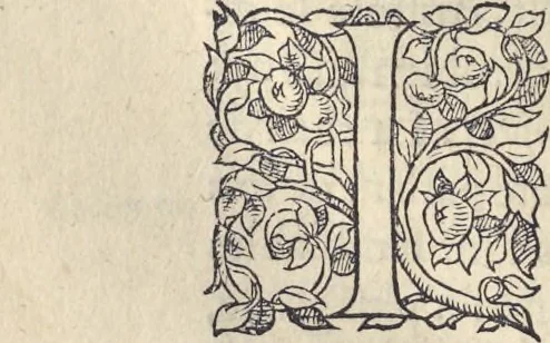 An illustration from L'histoire de la natvre des oyseavx : avec levrs descriptions, & naïfs portraicts retirez du natvrel, escrite en sept livres, 1555, leaf 333