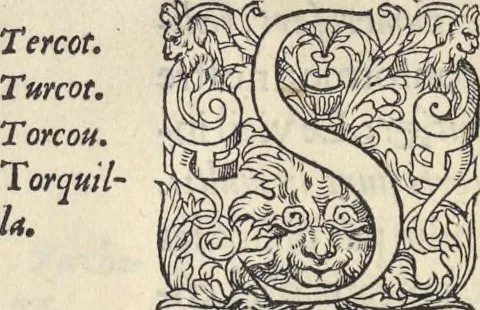 An illustration from L'histoire de la natvre des oyseavx : avec levrs descriptions, & naïfs portraicts retirez du natvrel, escrite en sept livres, 1555, leaf 337