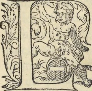 An illustration from L'histoire de la natvre des oyseavx : avec levrs descriptions, & naïfs portraicts retirez du natvrel, escrite en sept livres, 1555, leaf 342