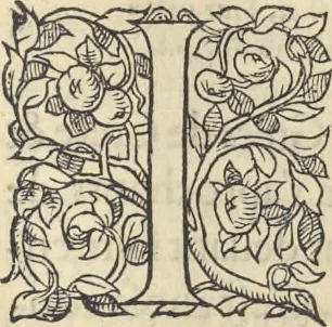 An illustration from L'histoire de la natvre des oyseavx : avec levrs descriptions, & naïfs portraicts retirez du natvrel, escrite en sept livres, 1555, leaf 344