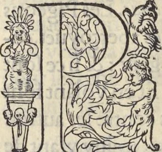 An illustration from L'histoire de la natvre des oyseavx : avec levrs descriptions, & naïfs portraicts retirez du natvrel, escrite en sept livres, 1555, leaf 347